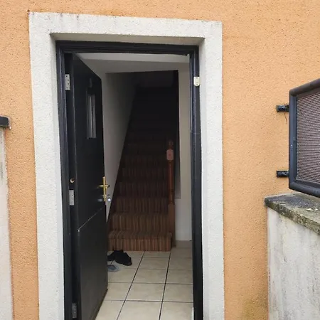 Nest Apartment